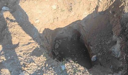 Define ararken jandarmaya yakalandılar