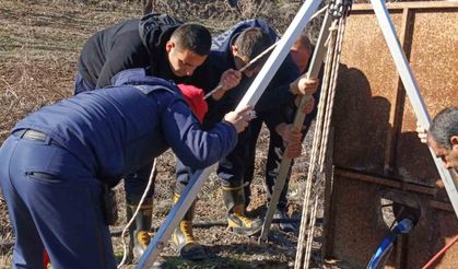 Kuyuya düşen köpek kurtarıldı