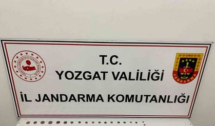 60 parça tarihi eseri kaçıran şahıs yakalandı
