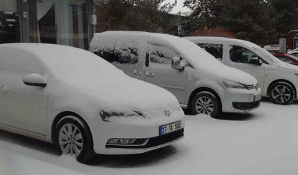 Ahlat’ta kar yağışı, 8 köy yolu ulaşıma kapandı