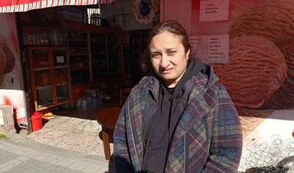 Cins kedisi kaybolan kadın, güvenlik kamera kayıtlarını izleyince şoke oldu