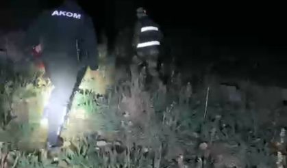 Hayvanlarını otlatmak için çıktı, ölü olarak bulundu