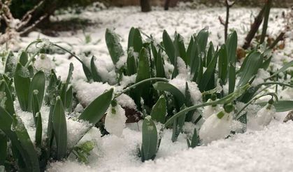 Karaman, beyaza büründü