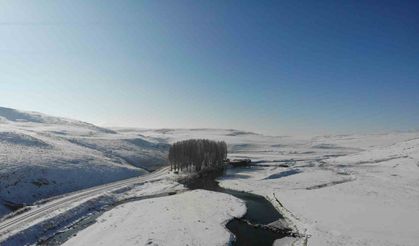 Kars Çayı’nda mest edici kış manzarası