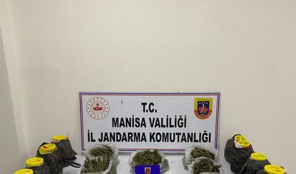 Manisa’da jandarmadan esrar operasyonu