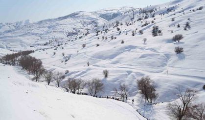 Muş’ta doğa tutkunları Karlı Dere’yi gezdi