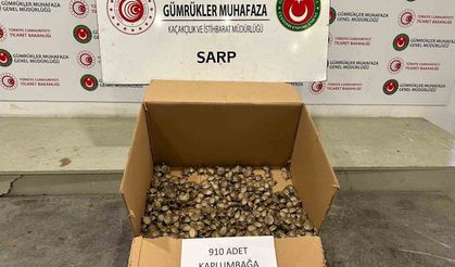 Ticaret Bakanlığı Gümrükler Muhafaza ekiplerinden "su kaplumbağası" operasyonu