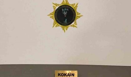 Samsun’da kokainle yakalanan kadın tutuklandı