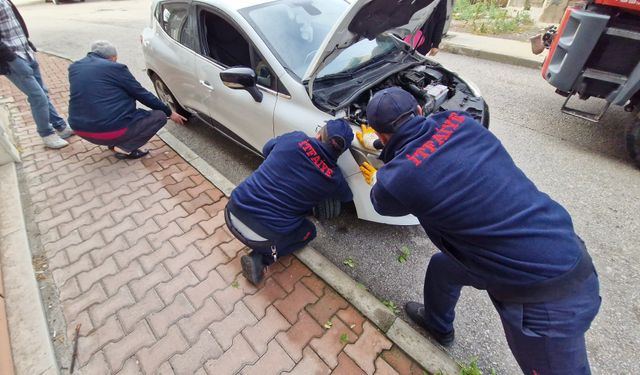 Araç motoruna giren kedileri kurtarmak için seferber oldular