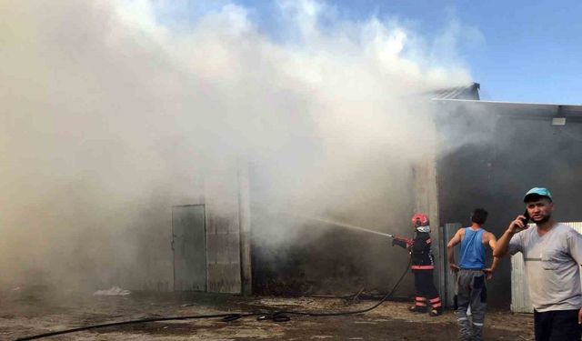 Sakarya’da 2 ahır ve 2 samanlık alevlere teslim oldu: 1 yaralı