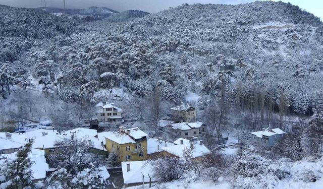 Çam ağaçları beyaza büründü, ortaya kartpostallık görüntüler çıktı