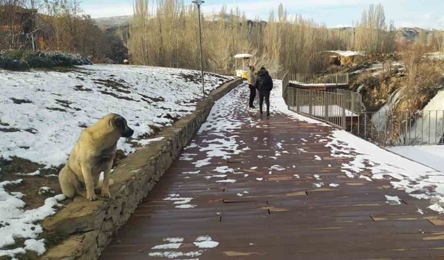 Beyaz gelinliğini giyen Muradiye Şelalesi ziyaretçilerini bekliyor