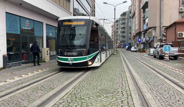 Tramvay yolundaki keyif uykusunu vatman bozdu