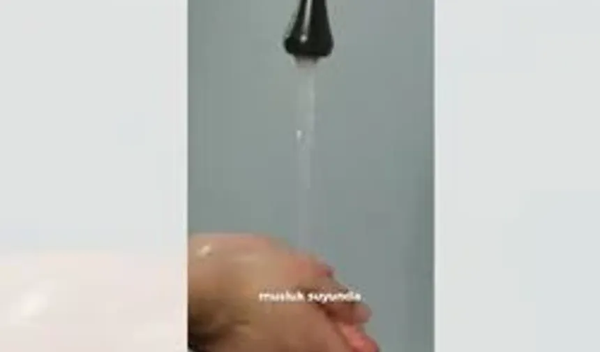 Tıp dünyasında beyin yiyen amip alarmı!