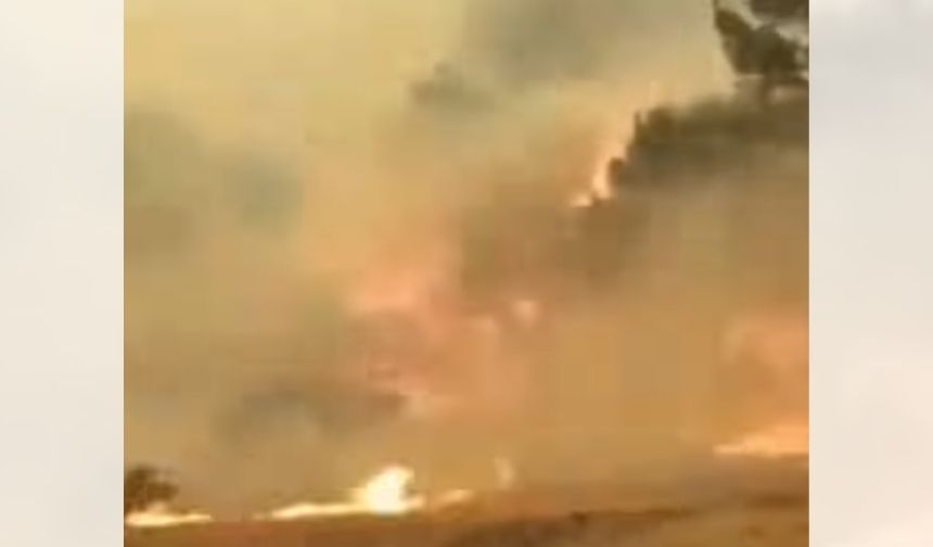 Denizli'de başlayan ve Aydın'a ulaşan yangın devam ediyor